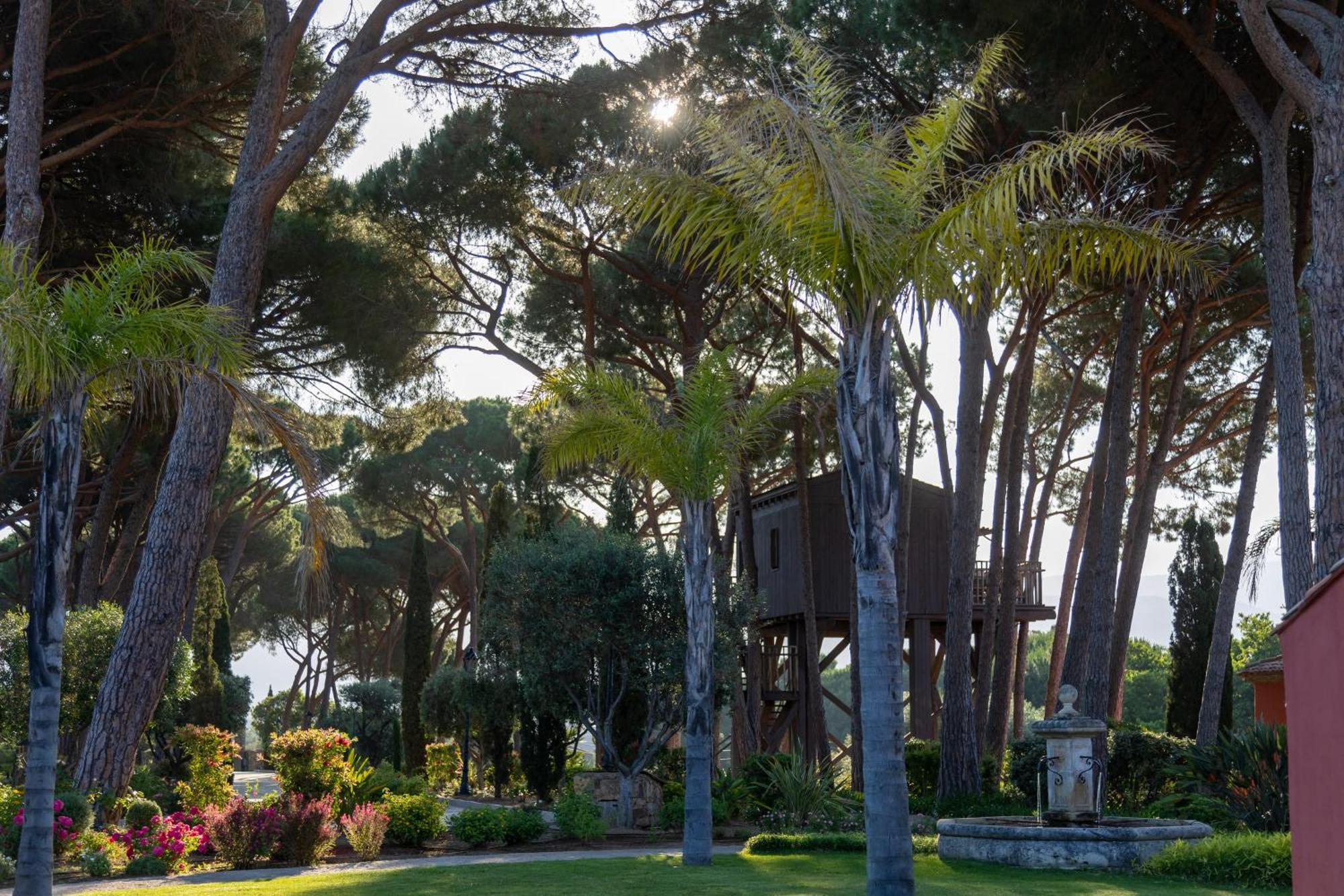 La Signoria Hotel Calvi  Buitenkant foto